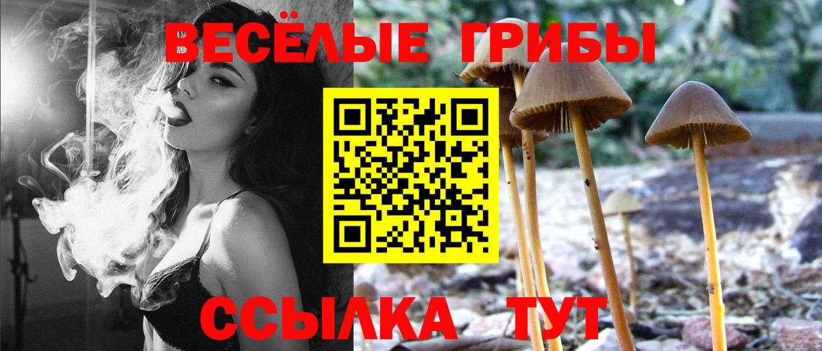 Псилоцибиновые грибы Psilocybine cubensis  Вход с VPN  Волгоград 